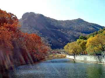 新澳天天开奖资料大全旅游团，手提扣